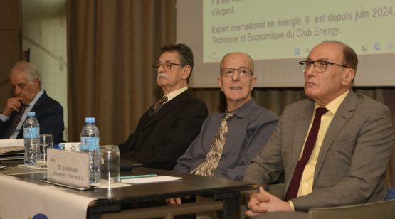 Genèse et applications de l’intelligence artificielle (IA) dans l’énergie et l’économie en général Le cas de l’Algérie